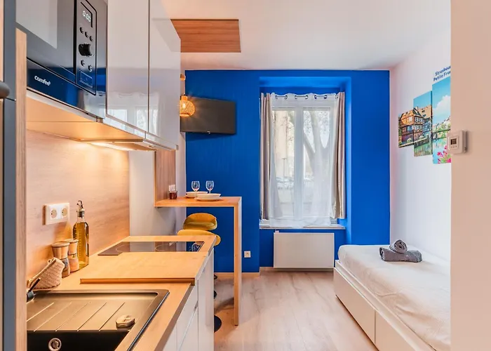 Suite - Strasbourg Gare - Petite France - Commerces A Proximite