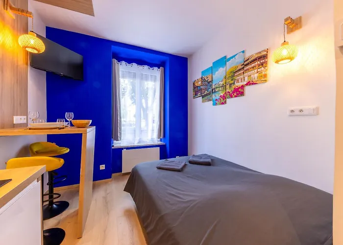 Suite - Strasbourg Gare - Petite France - Commerces A Proximite